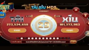 Khám phá cách chơi Tài Xỉu MD5